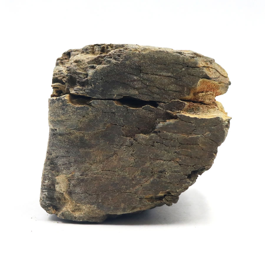 ʯ